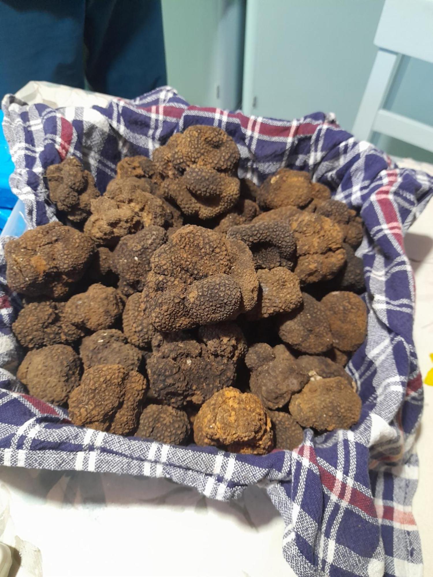Kuca Za Odmor Lana Apartman Kršan Szoba fotó